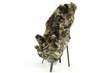 Dark Smoky Quartz Crystal Cluster on Metal Stand - Brazil #274488-1